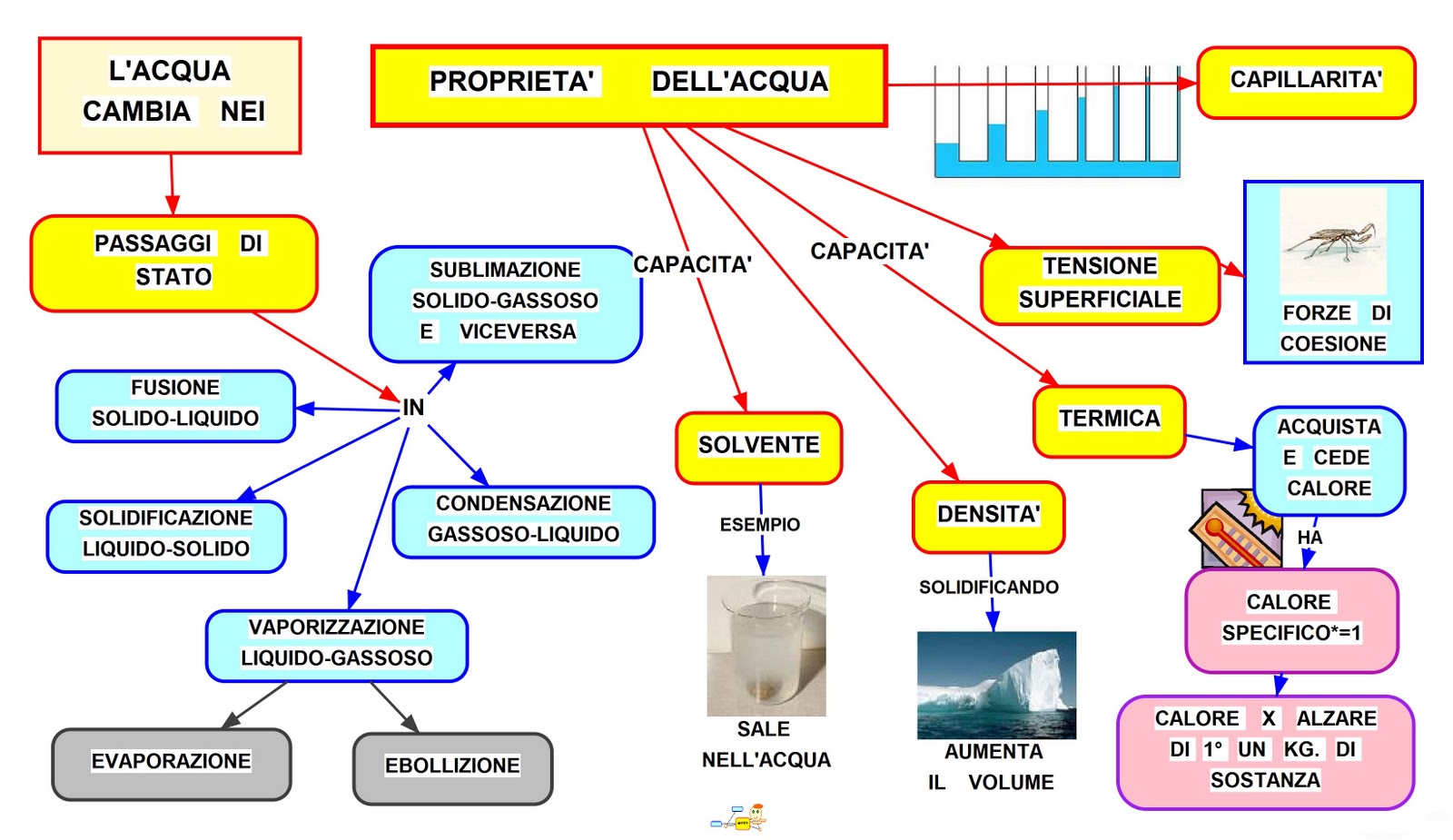 L Acqua E Le Sue Proprietà Proprietà dell'acqua: mappa concettuale e spiegazione - StudentVille